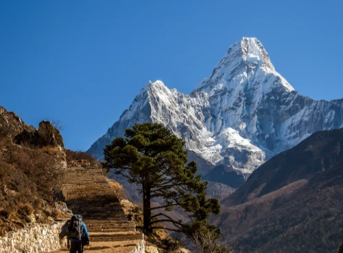 Why Do Ama Dablam Expedition Prices Vary So Much