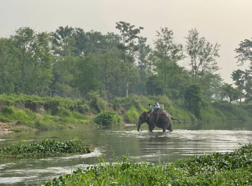 7 Best Things to Do on a Chitwan Jungle Safari