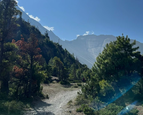 Annspurna circuit trek 