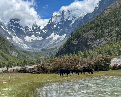Annspurna Circuit Trek