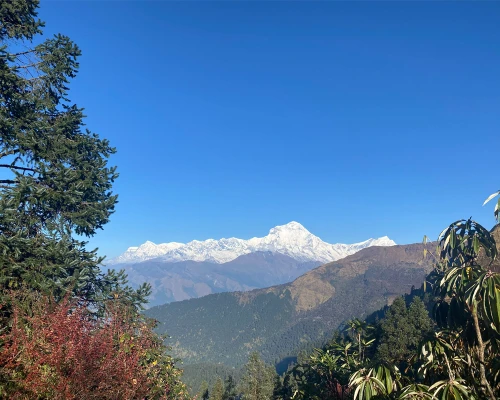 Khopra Trek 