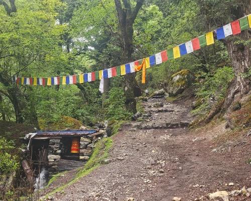 Manaslu Circuit Trek 