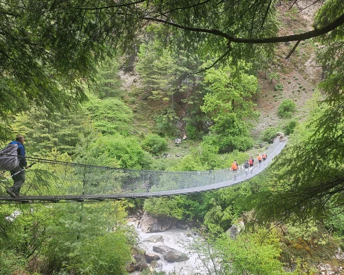 Suspension Bridge 